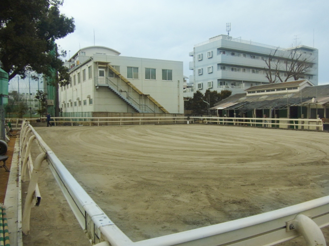 東京農業大学馬術部馬場整備工事